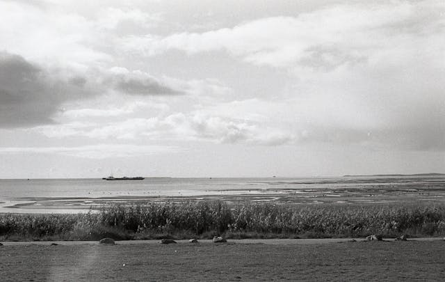 Harlingen de stad aan het wad